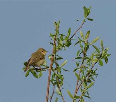 BUITEN BEELD Foto: 14623