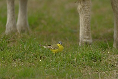 BUITEN BEELD Foto: 14628