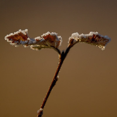 BUITEN BEELD Foto: 14642