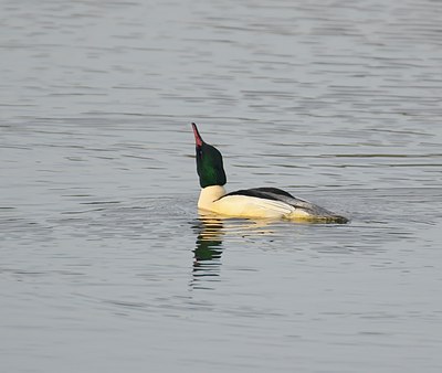BUITEN BEELD Foto: 14673