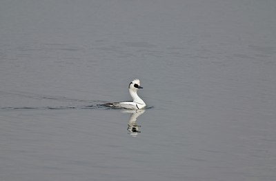BUITEN BEELD Foto: 14688