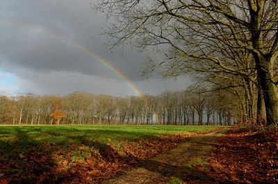 BUITEN BEELD Foto: 14764