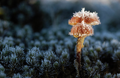 BUITEN BEELD Foto: 14770