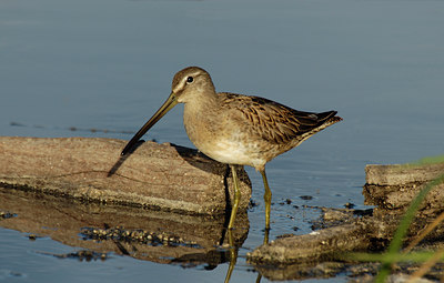 BUITEN BEELD Foto: 14834