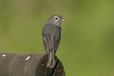 BUITEN BEELD Foto: 14845