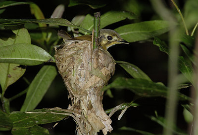 BUITEN BEELD Foto: 14847