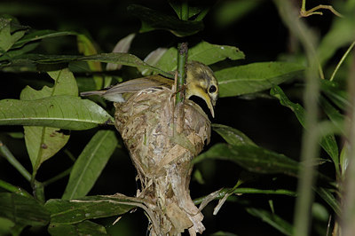 BUITEN BEELD Foto: 14848