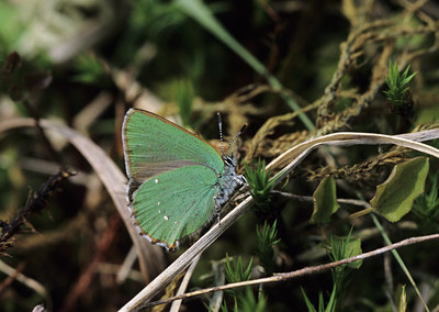 BUITEN BEELD Foto: 14858