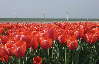 BUITEN BEELD Foto: 14921