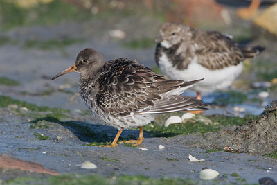 BUITEN BEELD Foto: 14978