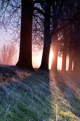 BUITEN BEELD Foto: 14991