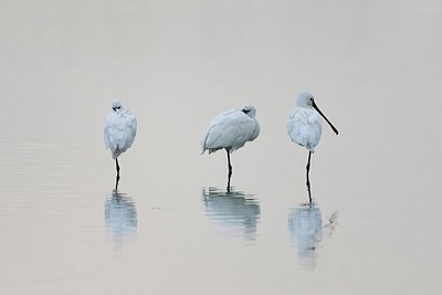 BUITEN BEELD Foto: 149002