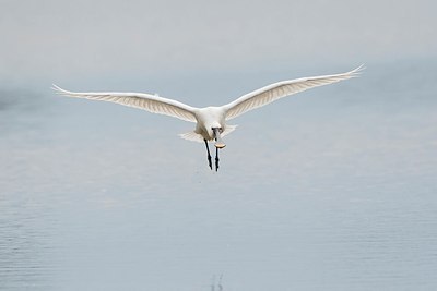 BUITEN BEELD Foto: 149010