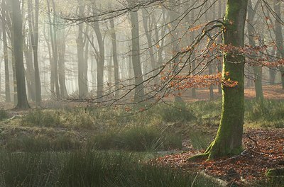 BUITEN BEELD Foto: 149027