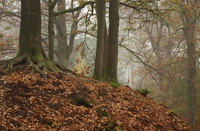 BUITEN BEELD Foto: 149037