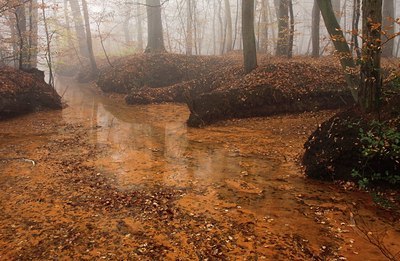 BUITEN BEELD Foto: 149043