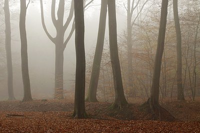 BUITEN BEELD Foto: 149044
