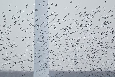 BUITEN BEELD Foto: 149074