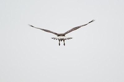 BUITEN BEELD Foto: 149090