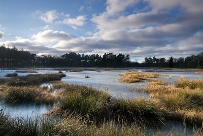 BUITEN BEELD Foto: 149120