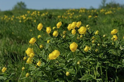 BUITEN BEELD Foto: 149165