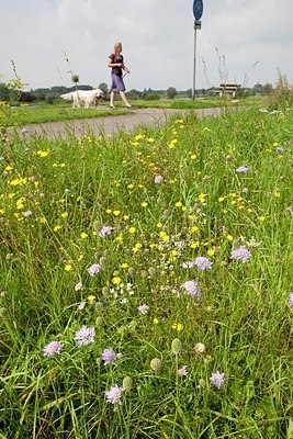 BUITEN BEELD Foto: 149216