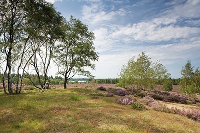BUITEN BEELD Foto: 149253