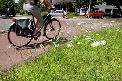 BUITEN BEELD Foto: 149300