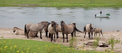 BUITEN BEELD Foto: 149319