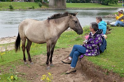 BUITEN BEELD Foto: 149324