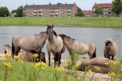 BUITEN BEELD Foto: 149329