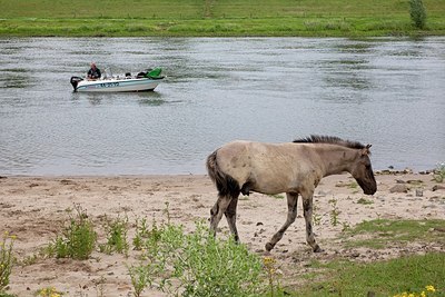 BUITEN BEELD Foto: 149331