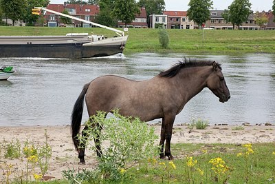 BUITEN BEELD Foto: 149332