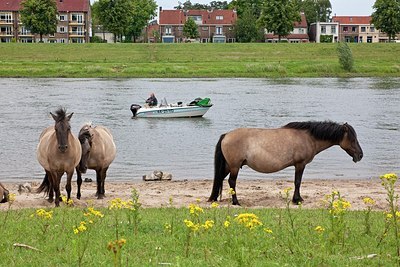 BUITEN BEELD Foto: 149333