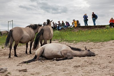BUITEN BEELD Foto: 149334