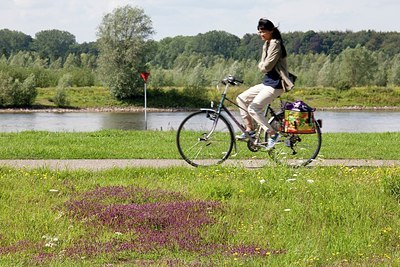 BUITEN BEELD Foto: 149336