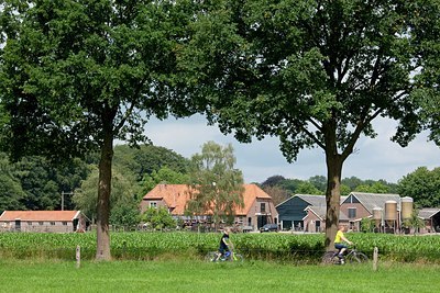 BUITEN BEELD Foto: 149377