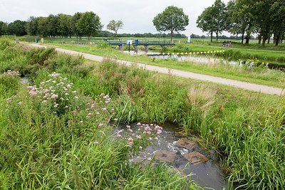 BUITEN BEELD Foto: 149400
