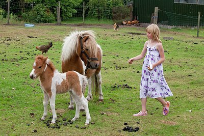 BUITEN BEELD Foto: 149410