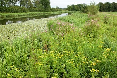 BUITEN BEELD Foto: 149411