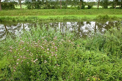 BUITEN BEELD Foto: 149412