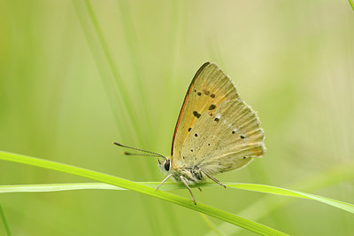 BUITEN BEELD Foto: 149420