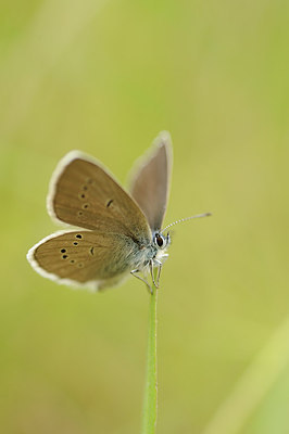 BUITEN BEELD Foto: 149433