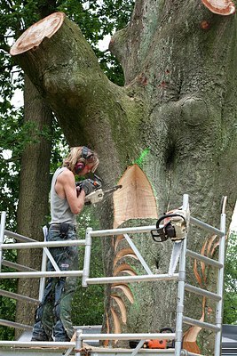 BUITEN BEELD Foto: 149466