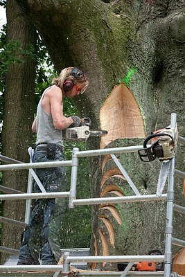 BUITEN BEELD Foto: 149467