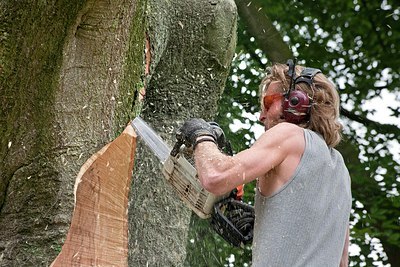 BUITEN BEELD Foto: 149470