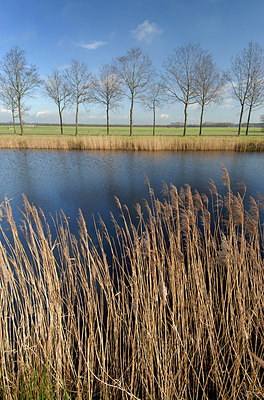 BUITEN BEELD Foto: 149482