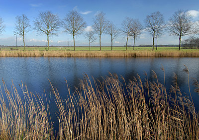 BUITEN BEELD Foto: 149483