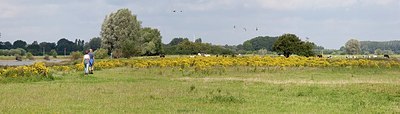 BUITEN BEELD Foto: 149484