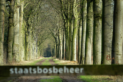 BUITEN BEELD Foto: 149486